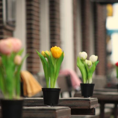 Herberg De Wildeman Lemmer Ngoại thất bức ảnh